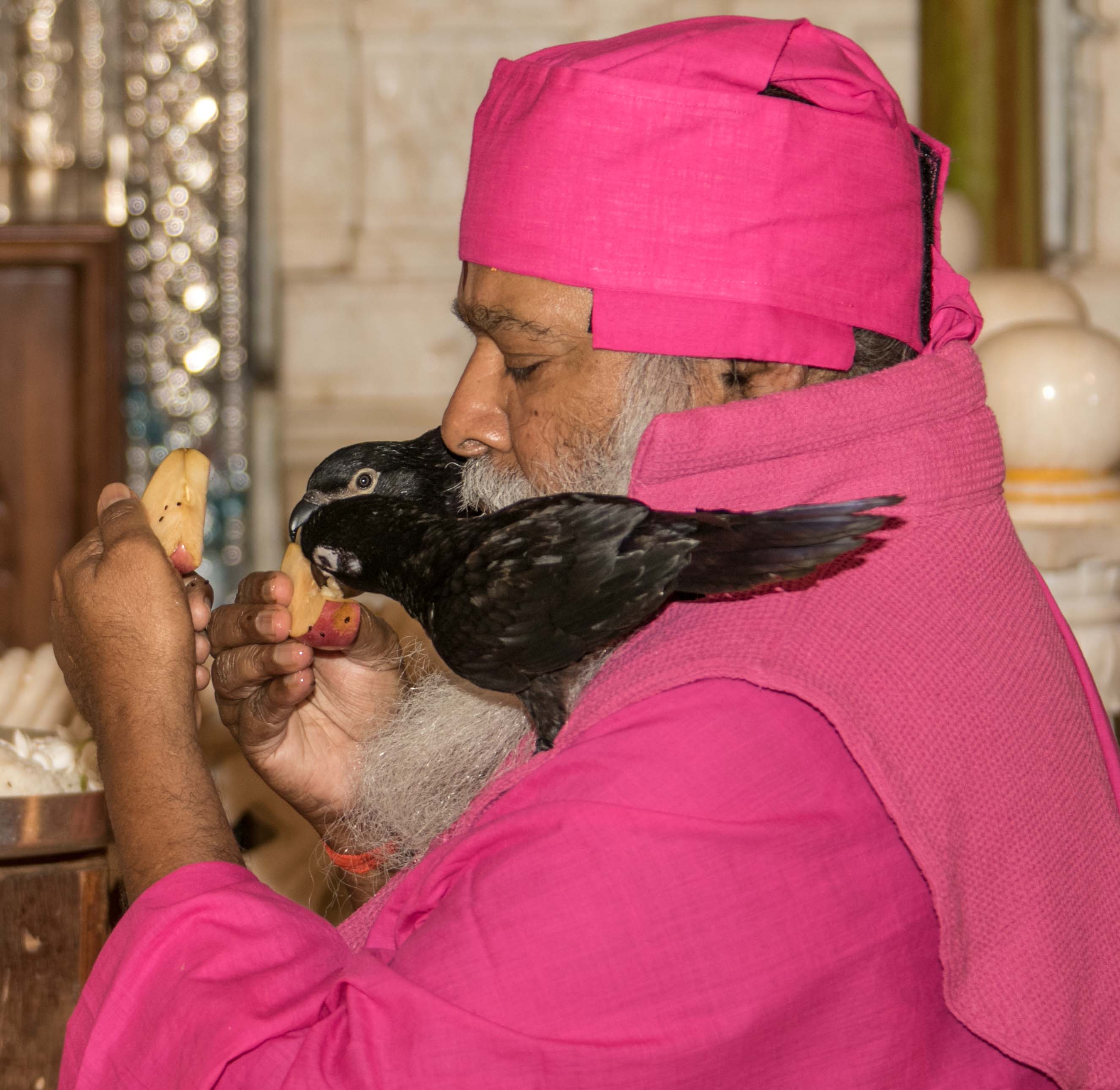Swamiji Bird