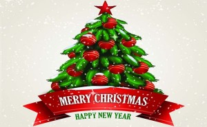 Read more about the article Christmas Greetings