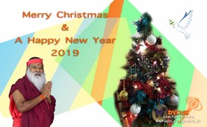 Read more about the article Seasons Greetings 2018