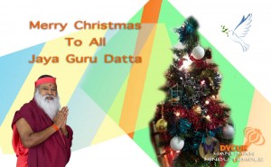 Read more about the article Christmas Greetings