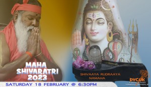 Read more about the article Maha Shivaratri: Rudra Abhisheka