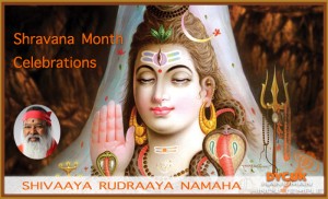Read more about the article Shravana Shiva Pooja & Abhishekam